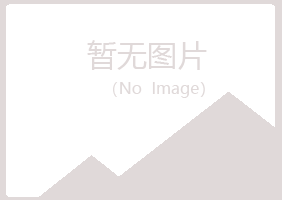 登封夏岚咨询有限公司